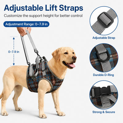 Malloren Dog Mobility Support Harness for Stairs & Cars - Front or Rear Lift Assist for Weak Legs