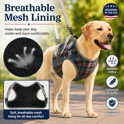 Malloren Dog Mobility Support Harness for Stairs & Cars - Front or Rear Lift Assist for Weak Legs