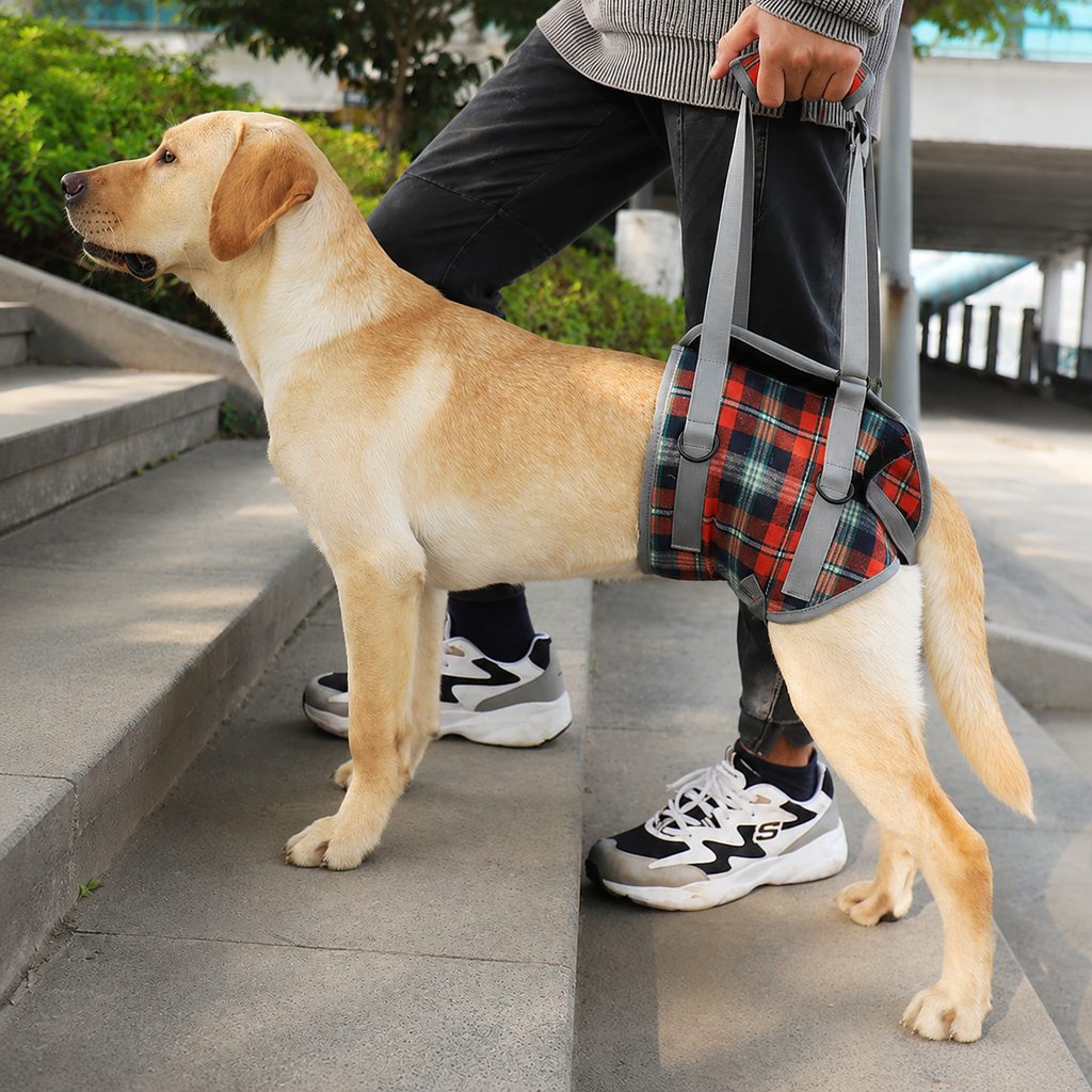 Malloren Dog Mobility Support Harness for Stairs & Cars - Front or Rear Lift Assist for Weak Legs