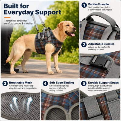 Malloren Dog Mobility Support Harness for Stairs & Cars - Front or Rear Lift Assist for Weak Legs