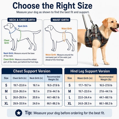 Malloren Dog Mobility Support Harness for Stairs & Cars - Front or Rear Lift Assist for Weak Legs