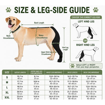 Malloren Adjustable Dog Rear Leg Recovery Sleeve with Paw Cover - Helps Limit Licking During Post-Surgery Rest