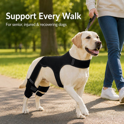 Malloren RearGuard Dog Rear Leg Support Brace - Anti-Slip Hind Leg Stability Wrap for Senior Dogs, Hardwood Floors & Recovery Walks