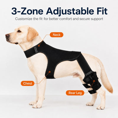 Malloren RearGuard Dog Rear Leg Support Brace - Anti-Slip Hind Leg Stability Wrap for Senior Dogs, Hardwood Floors & Recovery Walks