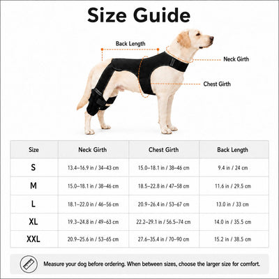 Malloren RearGuard Dog Rear Leg Support Brace - Anti-Slip Hind Leg Stability Wrap for Senior Dogs, Hardwood Floors & Recovery Walks