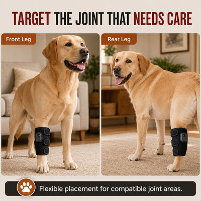 Malloren Dog Red Light Joint Wrap for Senior Dogs & Post-Walk Comfort - 20-LED Adjustable Mobility Support