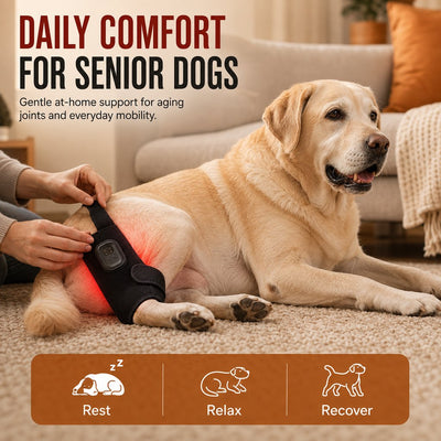 Malloren Dog Red Light Joint Wrap for Senior Dogs & Post-Walk Comfort - 20-LED Adjustable Mobility Support