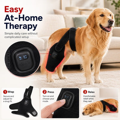 Malloren Red light therapy leg brace for dogs, suitable for senior and active dogs, provides comfort and support for hind legs during activity.