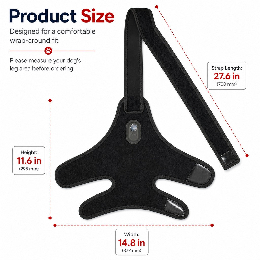 Malloren Red light therapy leg brace for dogs, suitable for senior and active dogs, provides comfort and support for hind legs during activity.