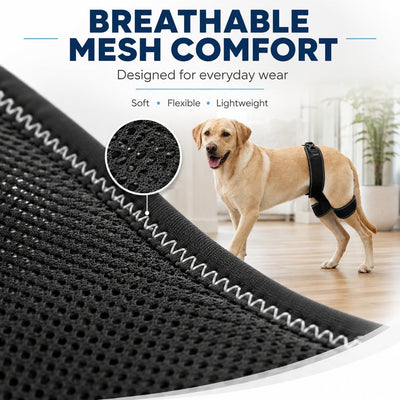 Malloren Dog Hip & Rear Leg Support Brace – Adjustable Dual Hind-Leg Stability Wrap for Senior Dogs, Hardwood Floors & Daily Walks