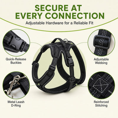 Malloren Dual Rear Leg Dog Support Brace with Harness - Walking Stability for Weak Hind Legs