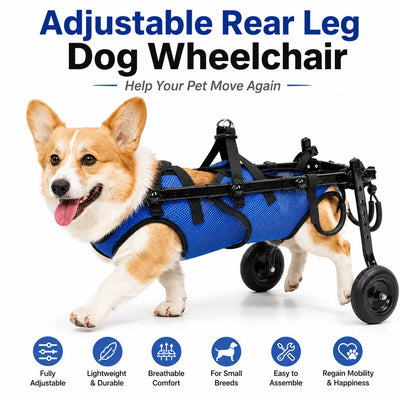 Malloren Adjustable Rear Leg Dog Wheelchair for Daily Walks - Mobility Support Cart for Small Dogs with Weak Back Legs