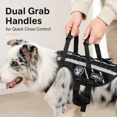 Malloren Outdoor Dog Harness & Bungee Leash Set with Dual Handles, Storage Pouch & Patch Accessories for Hiking, Walking and Everyday Adventures
