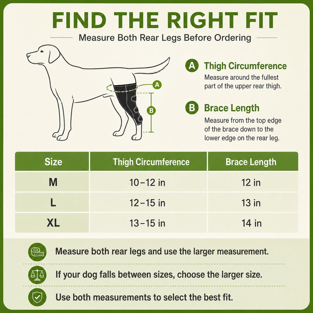 Malloren Dual Rear Leg Dog Support Brace with Harness - Walking Stability for Weak Hind Legs