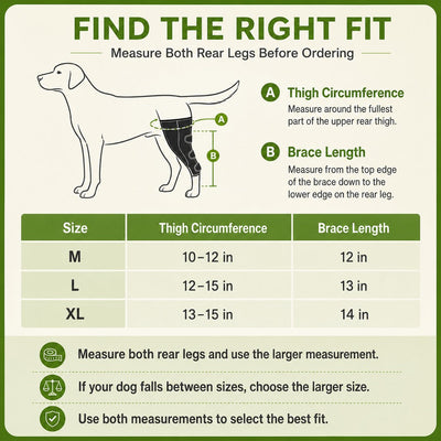 Malloren Dual Rear Leg Dog Support Brace with Harness - Walking Stability for Weak Hind Legs