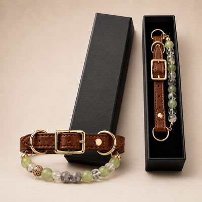 Malloren Four Elements Crystal Pet Collar Gift Box for Cats & Small Dogs - Photo-Ready Astrology Pet Jewelry for Birthdays, Holidays & Meaningful Pet Gifts