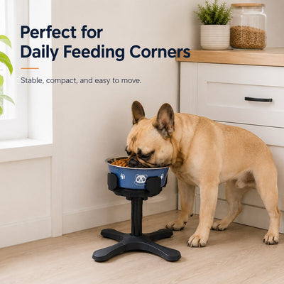 Malloren French Bulldog Adjustable Elevated Tilted Dog Bowl for Kitchen Feeding Corners - 3-Height Stand with Slow Feeder Insert to Reduce Neck Bending & Mess