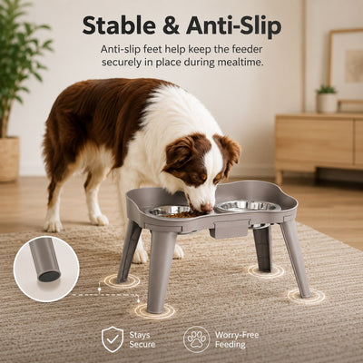 Malloren Elevated Pet Feeder with Spill Guard for Cats & Dogs - Raised Dual Stainless Steel Bowls for Cleaner Floors