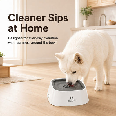 Malloren Floating Pet Water Bowl for Home & Car - Less Splash, Cleaner Floors