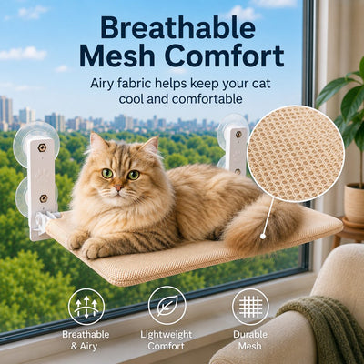 Malloren Foldable Cat Window Hammock for Apartments - No-Drill Suction Perch for Sunny Naps Without Taking Up Floor Space