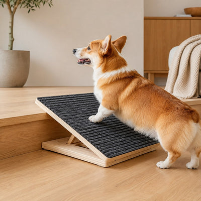 Malloren Foldable Wooden Dog Stairs for Small Dogs - Non-Slip Pet Ramp for Sofa, Bed & Indoor Steps
