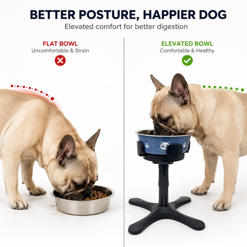 Malloren French Bulldog Adjustable Elevated Tilted Dog Bowl for Kitchen Feeding Corners - 3-Height Stand with Slow Feeder Insert to Reduce Neck Bending & Mess