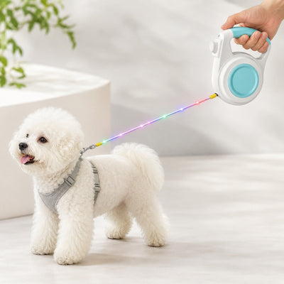 Malloren Rechargeable Light-Up Retractable Dog Leash for Night Walks - Helps Small Dogs Stay Visible & Easy to Control