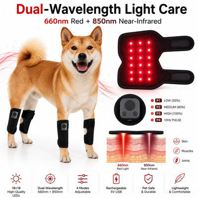 Malloren Rechargeable Red Light Therapy Dog Knee Wrap for Senior Dogs - At-Home Leg Comfort Support for Post-Walk Stiffness & Mobility Care