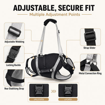Malloren Full-Body Dog Lift Support Harness for Large Senior Dogs - Easier Stairs, Standing & Car Entry