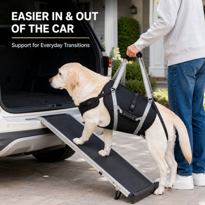 Malloren Full-Body Dog Lift Support Harness for Large Senior Dogs - Easier Stairs, Standing & Car Entry