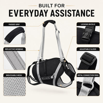 Malloren Full-Body Dog Lift Support Harness for Large Senior Dogs - Easier Stairs, Standing & Car Entry