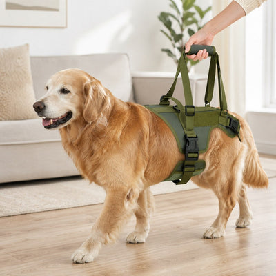 Malloren Full-Body Dog Lift Support Harness for Stairs, Cars & Limited Mobility