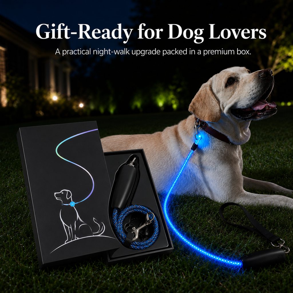 Malloren NightGlow LED Light-Up Dog Leash for Night Walks - USB Rechargeable Safety Leash That Helps Your Dog Stay Visible in the Dark