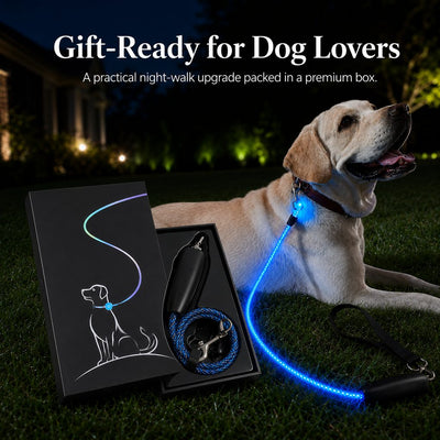 Malloren NightGlow LED Light-Up Dog Leash for Night Walks - USB Rechargeable Safety Leash That Helps Your Dog Stay Visible in the Dark
