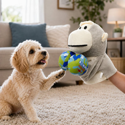 Malloren Interactive Boxing Pet Puppet for Indoor Play – Squeeze-to-Punch Sound Toy for Bored Dogs & Cats