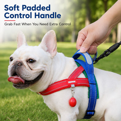Malloren No-Choke French Bulldog Harness & Leash Set for Daily Walks - Reflective, Easy-Control Fit for Broad-Chest Dogs
