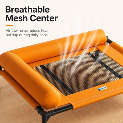 Malloren French Bulldog Elevated Dog Cot for All-Season Indoor Naps - Breathable Raised Pet Bed with Soft Bolsters for Cooler Rest & Easy Cleaning