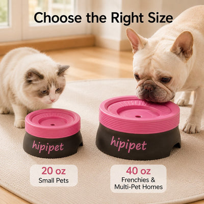 Malloren Frenchie No-Drip Floating Water Bowl for Indoor Daily Drinking - Helps Keep Muzzle Drier & Floors Cleaner