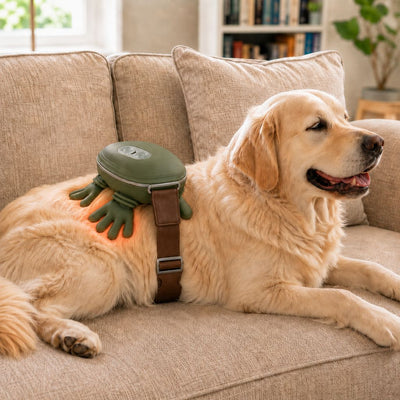 Malloren Hands-Free Dog Massager with Heat – Bionic Kneading for Post-Walk Relaxation & Everyday Comfort