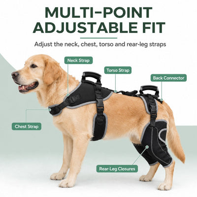 Malloren Full-Body Dog Lift Harness with Dual Rear-Leg Support - Easier Standing, Stairs & Car Entry