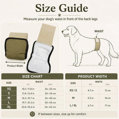 Malloren 3-Pack Washable Male Dog Belly Bands for Indoor Marking & Senior Dribbles - Reusable Dog Diaper Wraps to Protect Floors & Furniture
