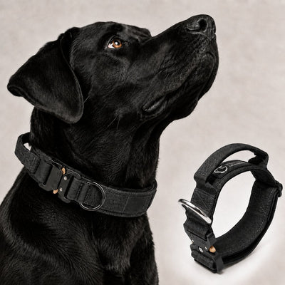 Malloren Large Dog Tactical Collar with Control Handle - Secure Grip for Walks, Training & Strong Pullers