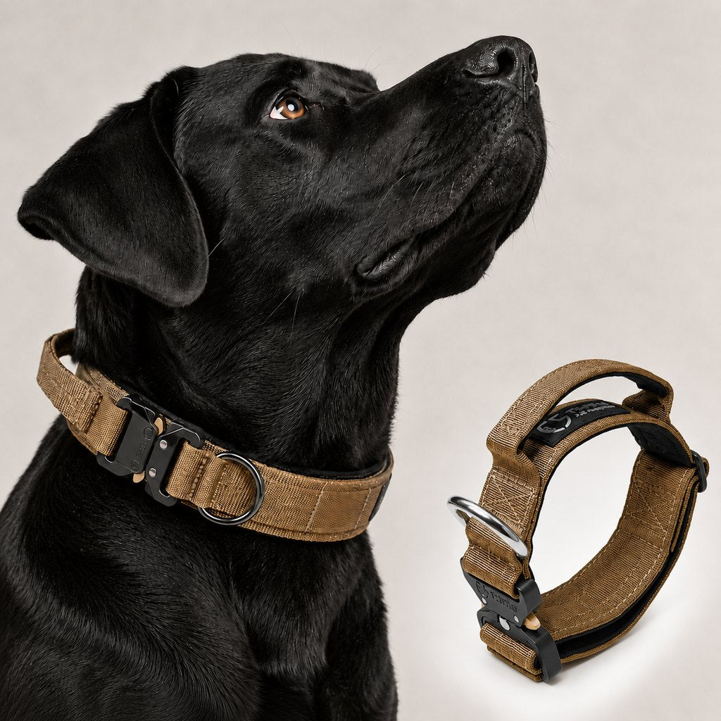 Malloren Large Dog Tactical Collar with Control Handle - Secure Grip for Walks, Training & Strong Pullers