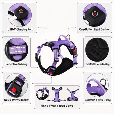 Malloren Rechargeable LED Dog Harness for Night Walks - Back-Panel Glow & Reflective Webbing for Better Low-Light Visibility