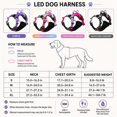 Malloren Rechargeable LED Dog Harness for Night Walks - Back-Panel Glow & Reflective Webbing for Better Low-Light Visibility