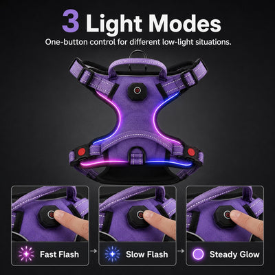 Malloren Rechargeable LED Dog Harness for Night Walks - Back-Panel Glow & Reflective Webbing for Better Low-Light Visibility