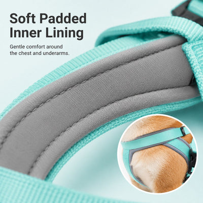 Malloren Quick-Fit Lightweight Dog Harness & Leash Set for Daily Walks - No-Choke Step-In Comfort with Secure Buckle & Back Control Handle