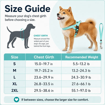 Malloren Quick-Fit Lightweight Dog Harness & Leash Set for Daily Walks - No-Choke Step-In Comfort with Secure Buckle & Back Control Handle