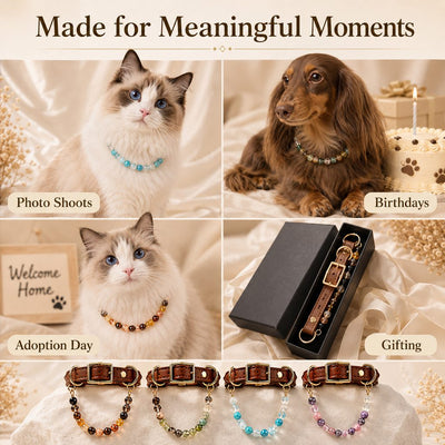 Malloren Four Elements Crystal Pet Collar Gift Box for Cats & Small Dogs - Photo-Ready Astrology Pet Jewelry for Birthdays, Holidays & Meaningful Pet Gifts