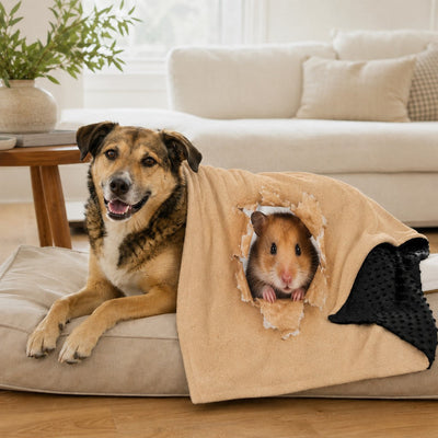 Malloren Layered Minky Pet Comfort Blanket for Dog Beds, Quiet Corners & Noisy Moments